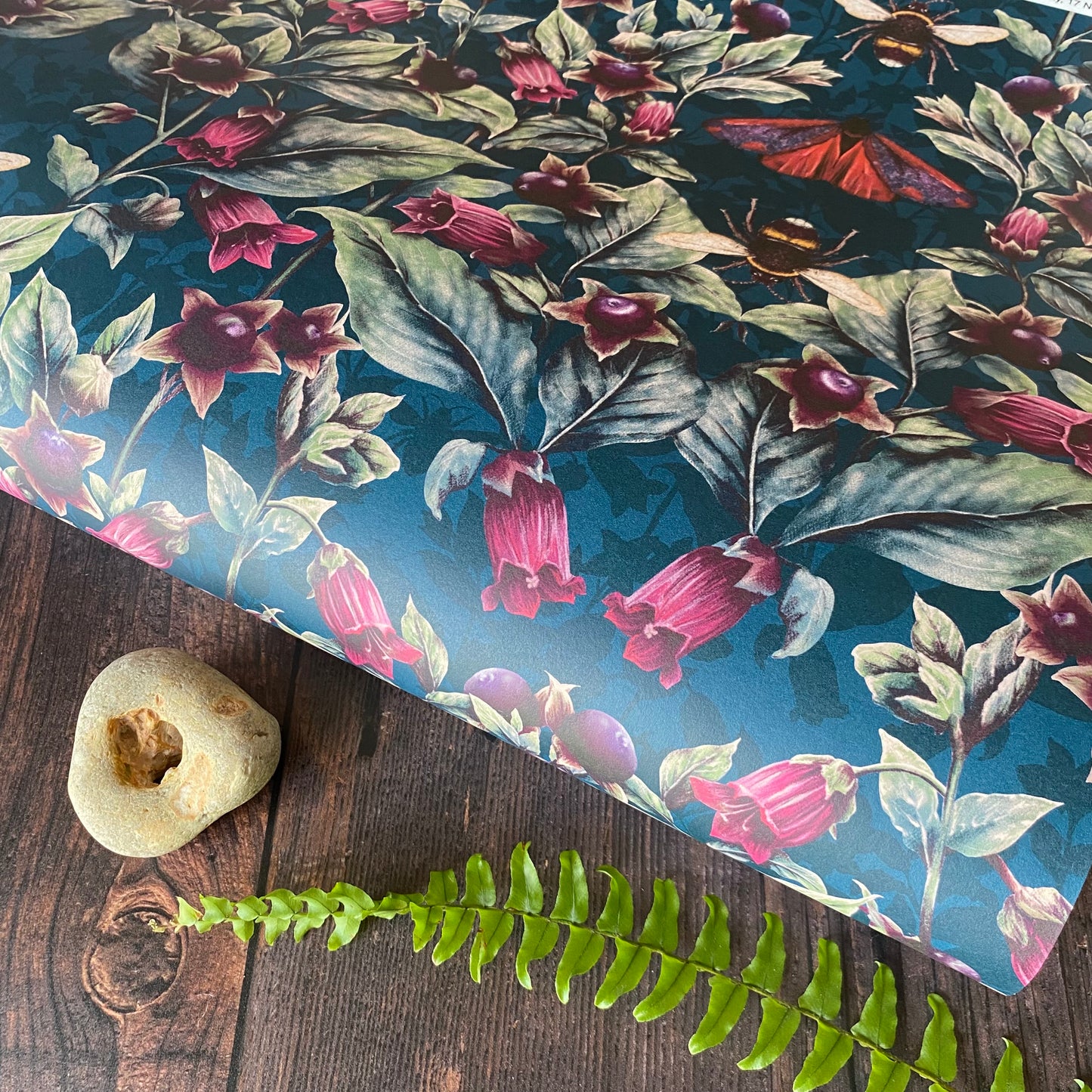 Deadly Nightshade Wallpaper in Midnight SAMPLE