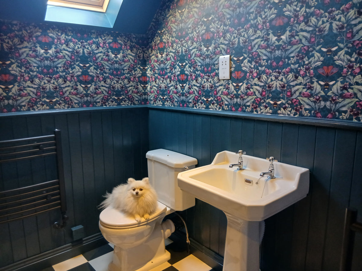Bathroom, Deadly Nightshade Wallpaper in Midnight, Dark Blue panelled woodwork on the walls with a white toilet and basin. Small white dog sits on the toilet. UK
