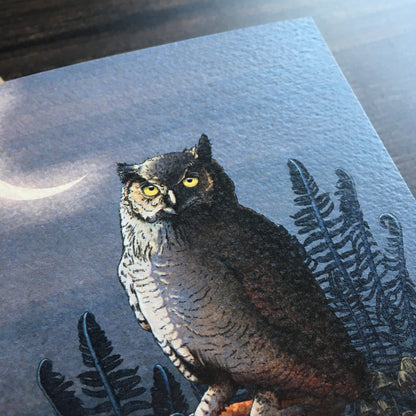 Woodland Owl A6 Greetings Card